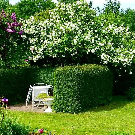 We 6402 Ferien U Angeln Auf Ruegen-ruhige Lage,garten! Apartmán